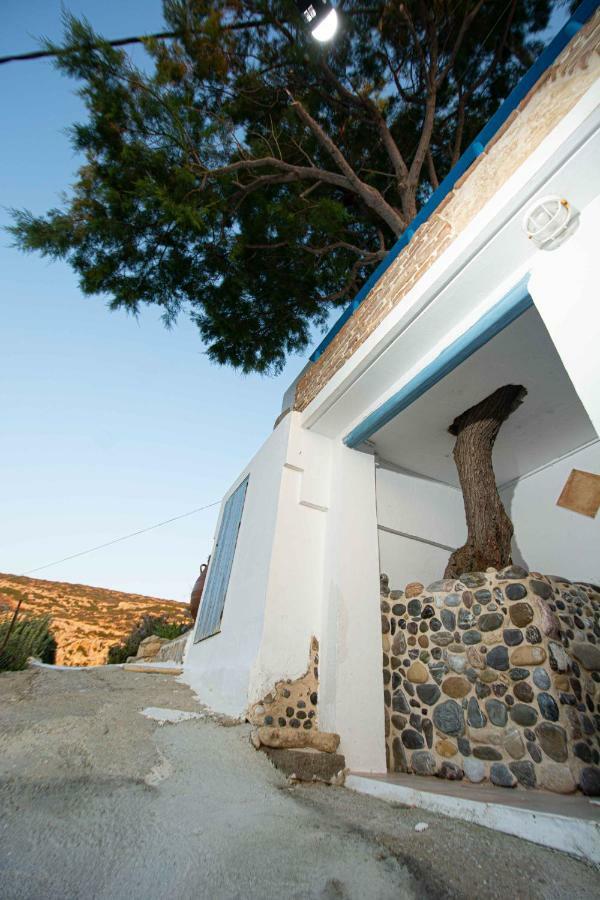 Castri House Holiday home *